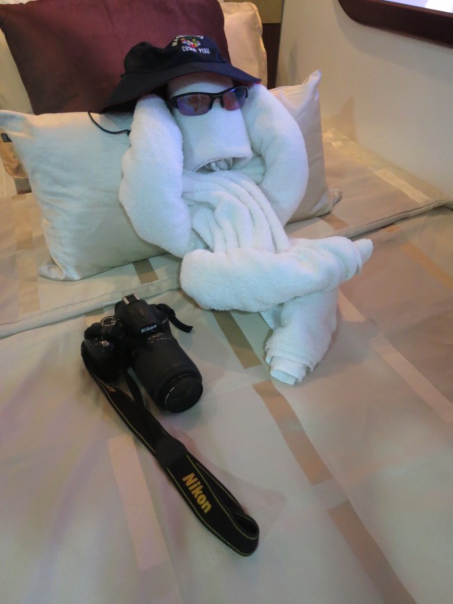 The beautifully folded towels - themed to coincide with the days activities