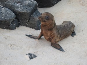 Hey baby, wanna come home with me?