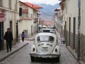Beetles and cobblestones, a very common combination