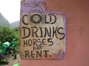 By this stage, I wished I had taken up the offer